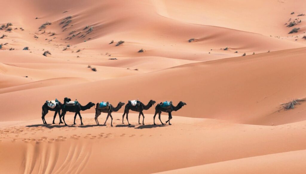 Excursion dans le désert Merzouga