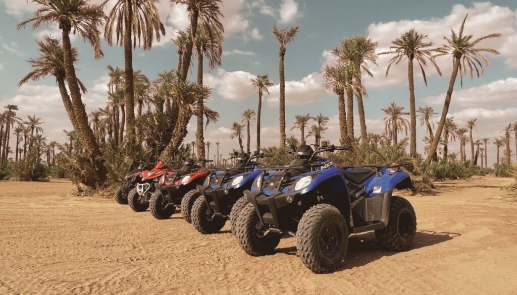 quad palmeraie marrakech maroc